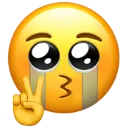 v_cry Discord Emoji