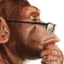 monkey_thinking