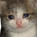tmr_sad_cat custom emote from TMR Esports