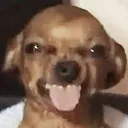yuckie