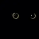 cateyesblink cateyesblink