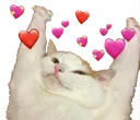 luv