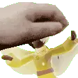 PetRain