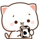 milk