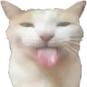 bleh