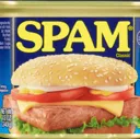 spam