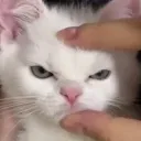 emoji_24