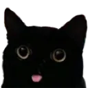 GatinhoLinguinha