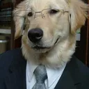 DogSuit