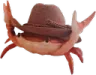 yeeclaw