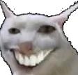 charmingcat Discord Emoji