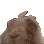 bunnydance