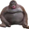 monke