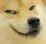 dog_hehe