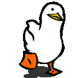 quackysduck animated Discord emote - Jewish Community