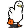 quackysduck
