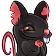 kimmat2Rat