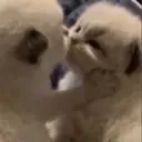 kissRubiLoRa