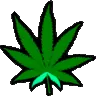 Ganja