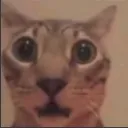 omg