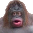 monke Discord emoji