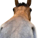 Nosie Discord emoji
