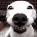 hehehehe Discord emoji