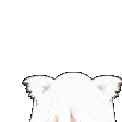 Peek