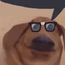 nerddog