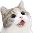 WOWERS