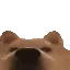 STARE