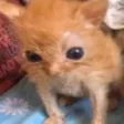 IFeelFine IFeelFine