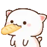 nyanod nyanod