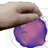 petthefermisurface