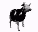 dancyCow
