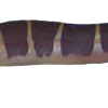 Khuli3