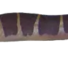 Khuli3