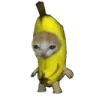 Bananacat bananacat Discord Emoji