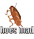 b_hoesmad