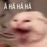 haha