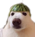 K_Bruh