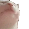 catdone