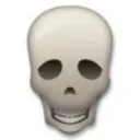 skull skull