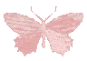 1pinkbutterfly