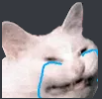 :crying_cat: crying_cat
