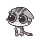 Angycat AngyCat Discord Emoji