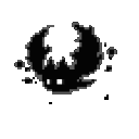 blackbat Discord emoji
