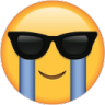 coolcry Discord emoji