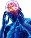 BigBrain