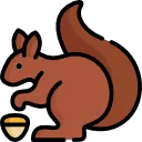 nut